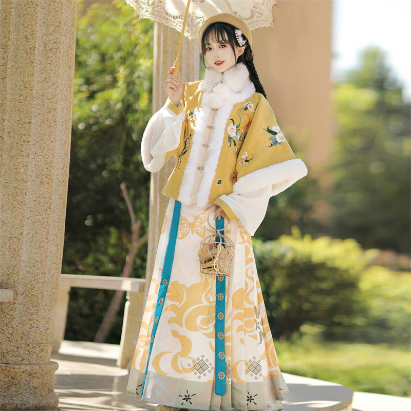 Golden Years · 2025 Ming Dynasty Inspired Winter Hanfu Set